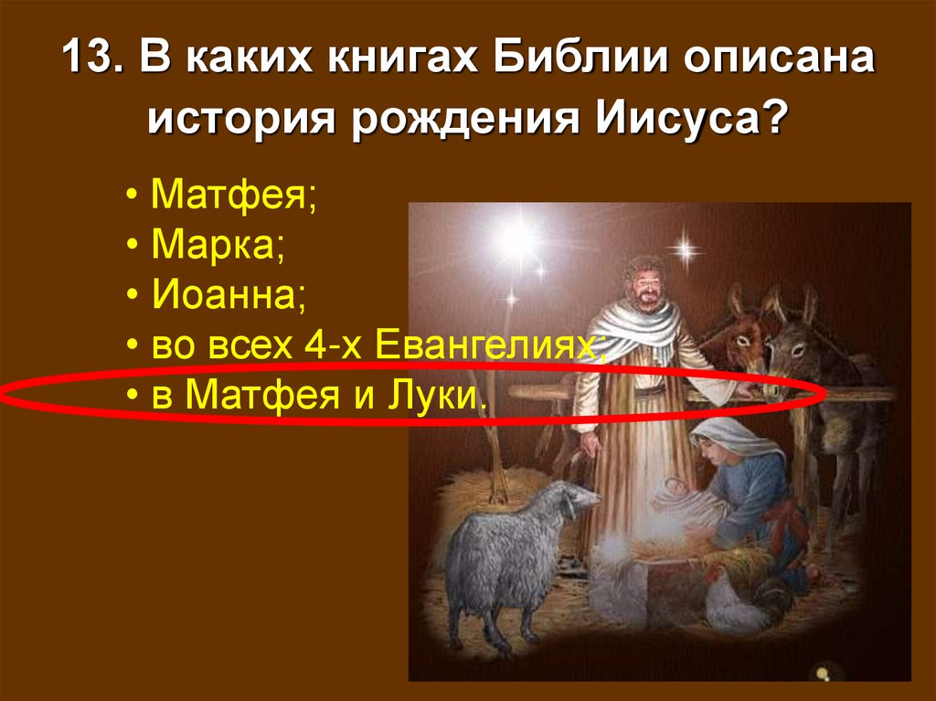 13. В каких книгах Библии описана история рождения Иисуса?