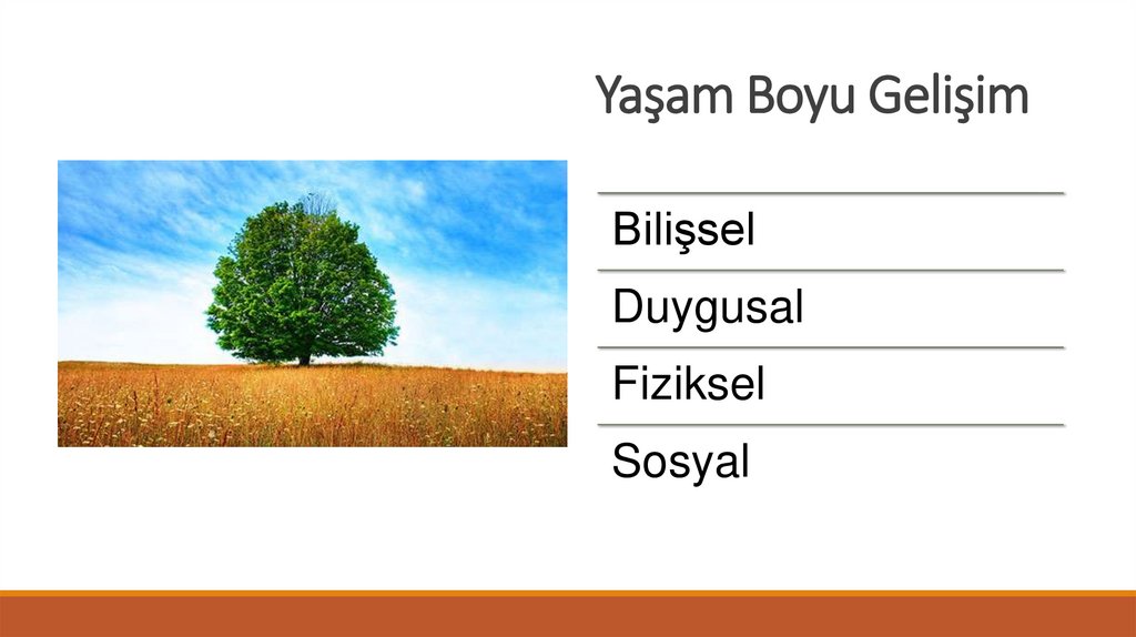 Yaşam Boyu Gelişim