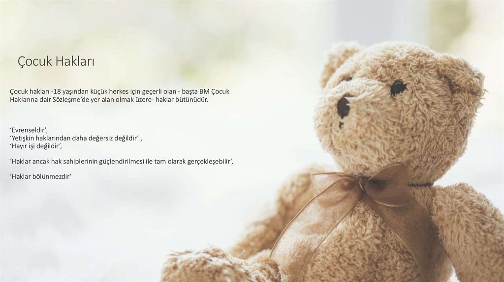 Çocuk Hakları