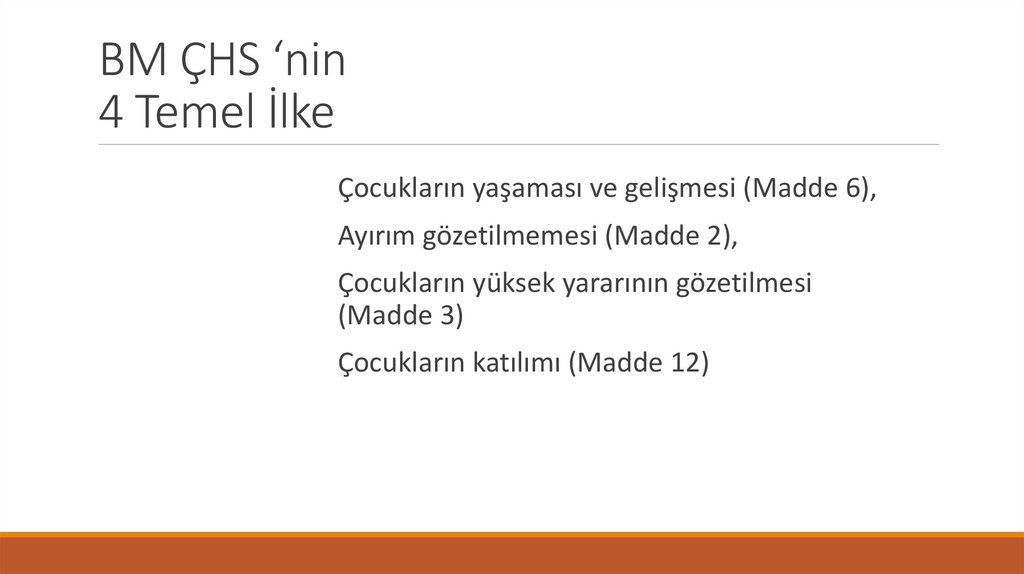 BM ÇHS ‘nin 4 Temel İlke
