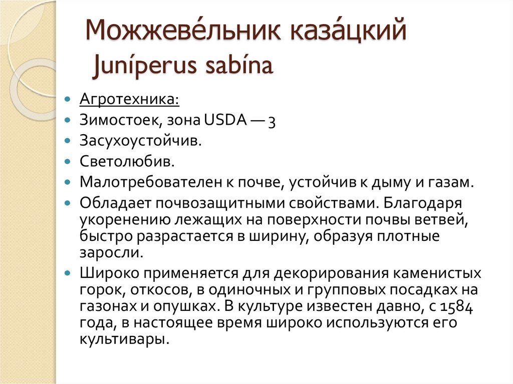 Можжеве́льник каза́цкий Juníperus sabína