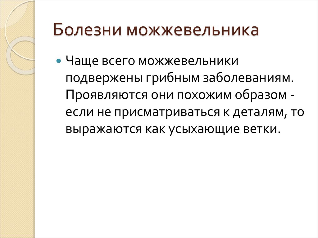 Болезни можжевельника