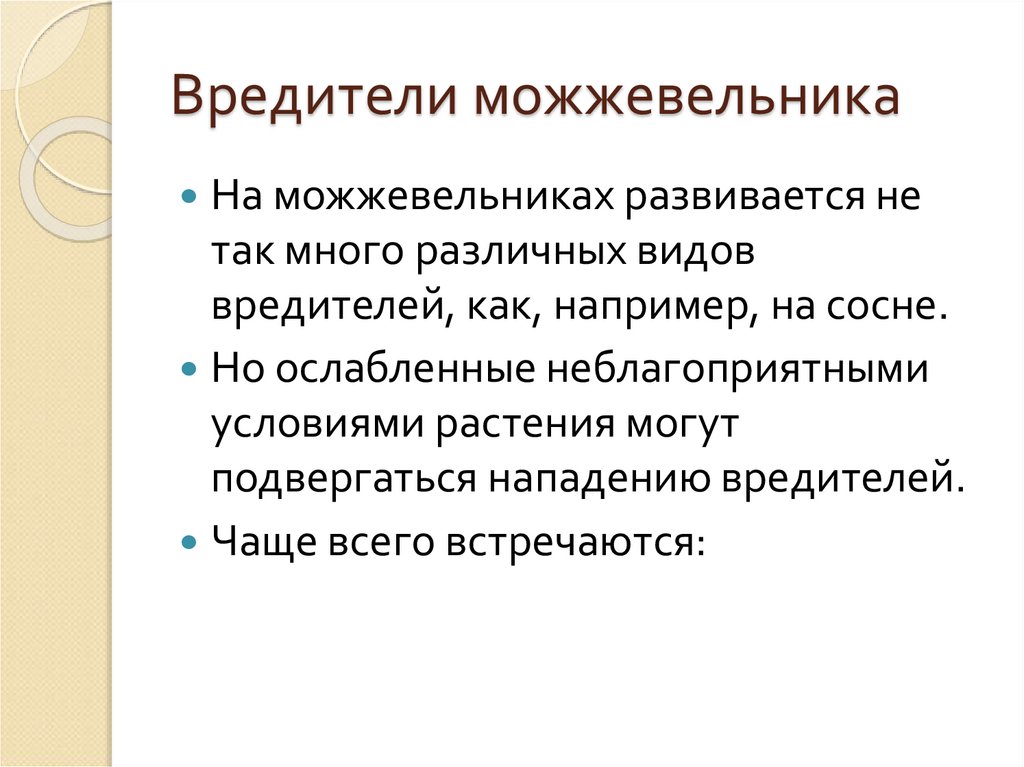 Вредители можжевельника