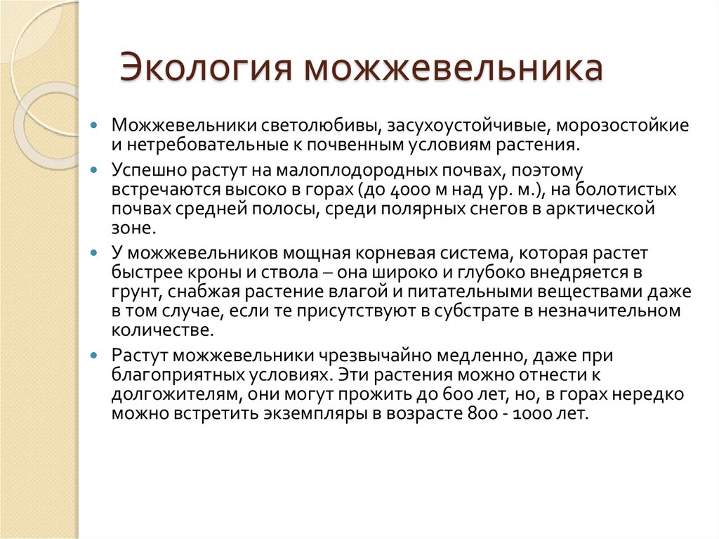 Экология можжевельника