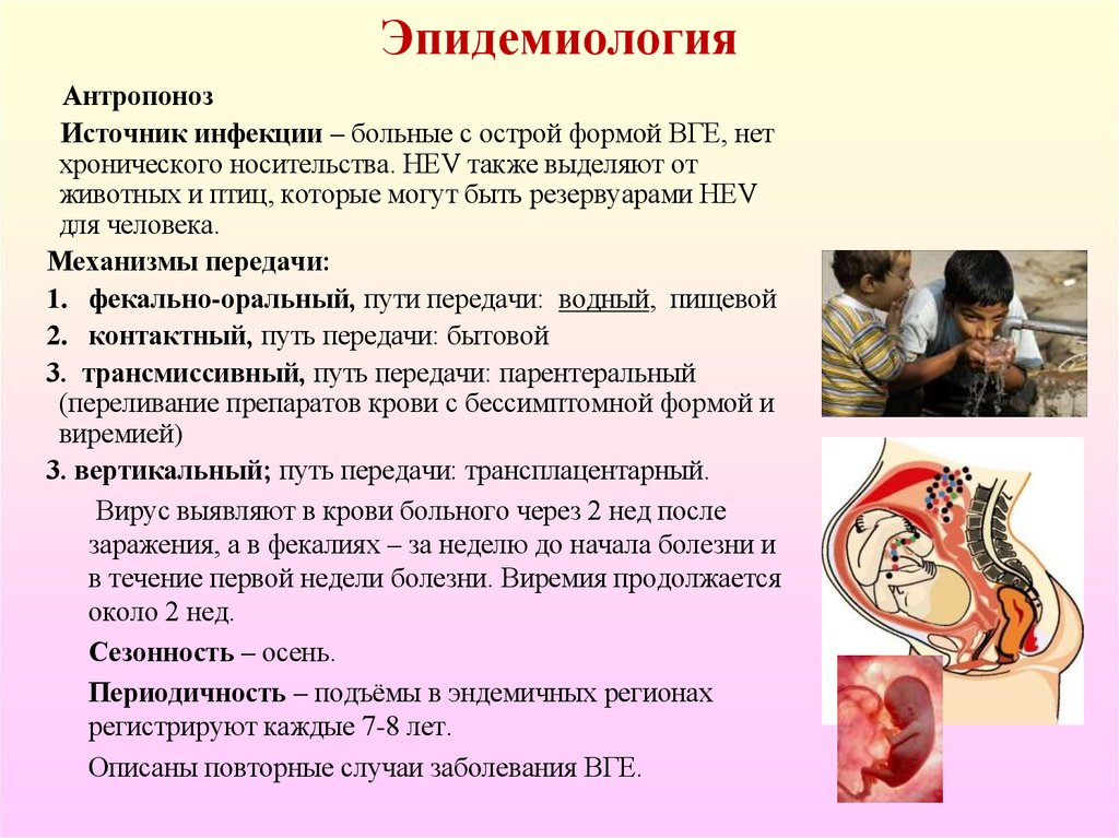 Эпидемиология