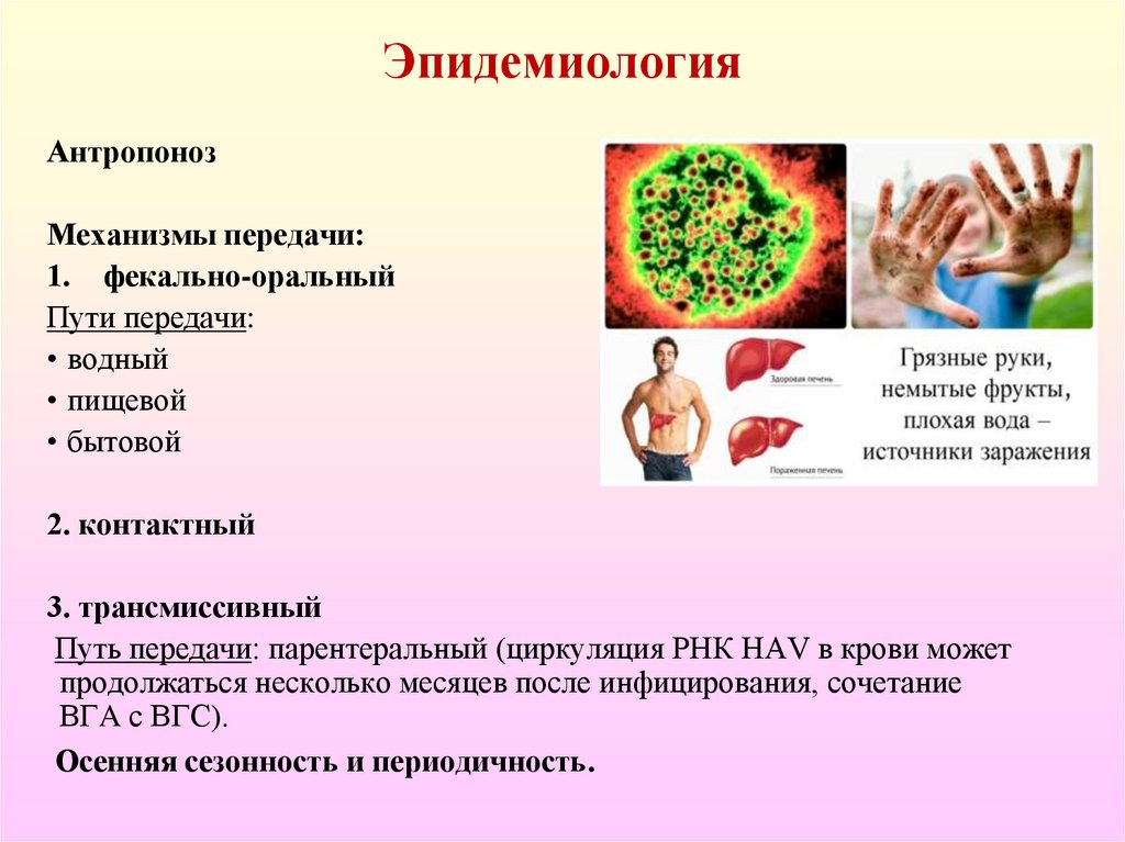 Эпидемиология