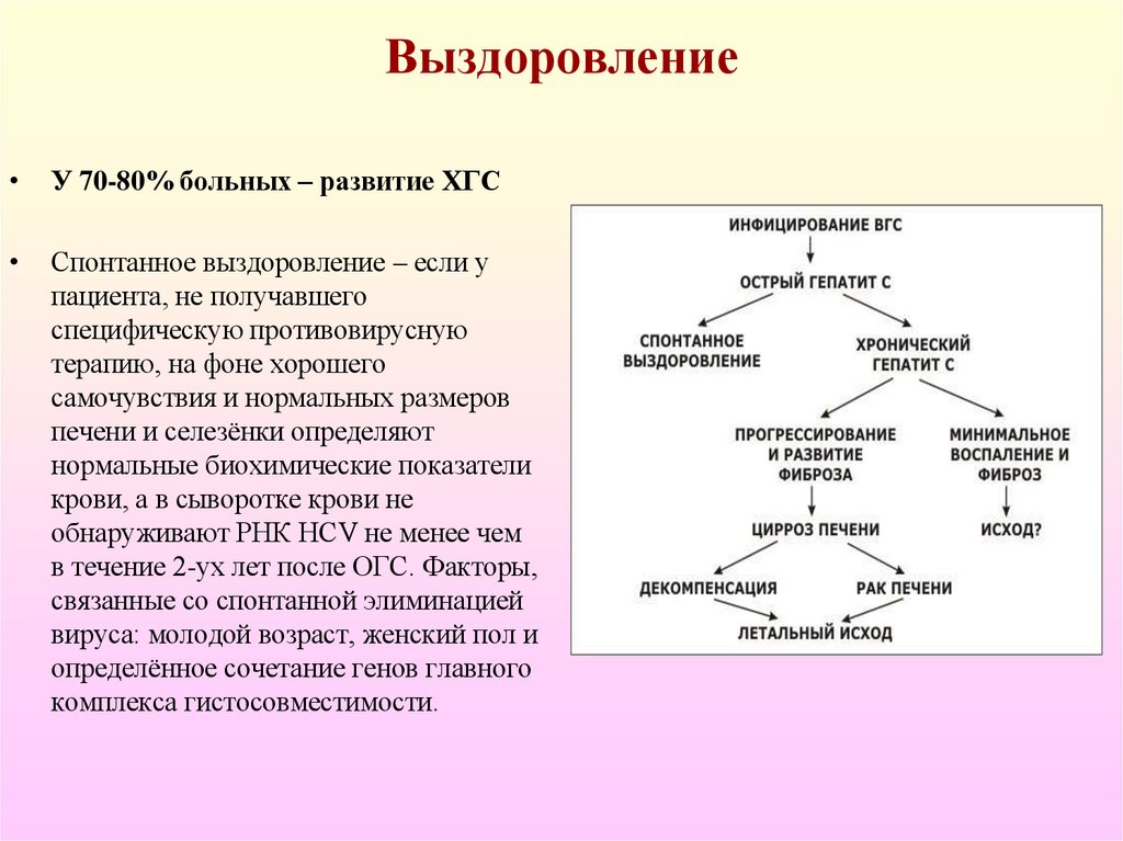 Выздоровление