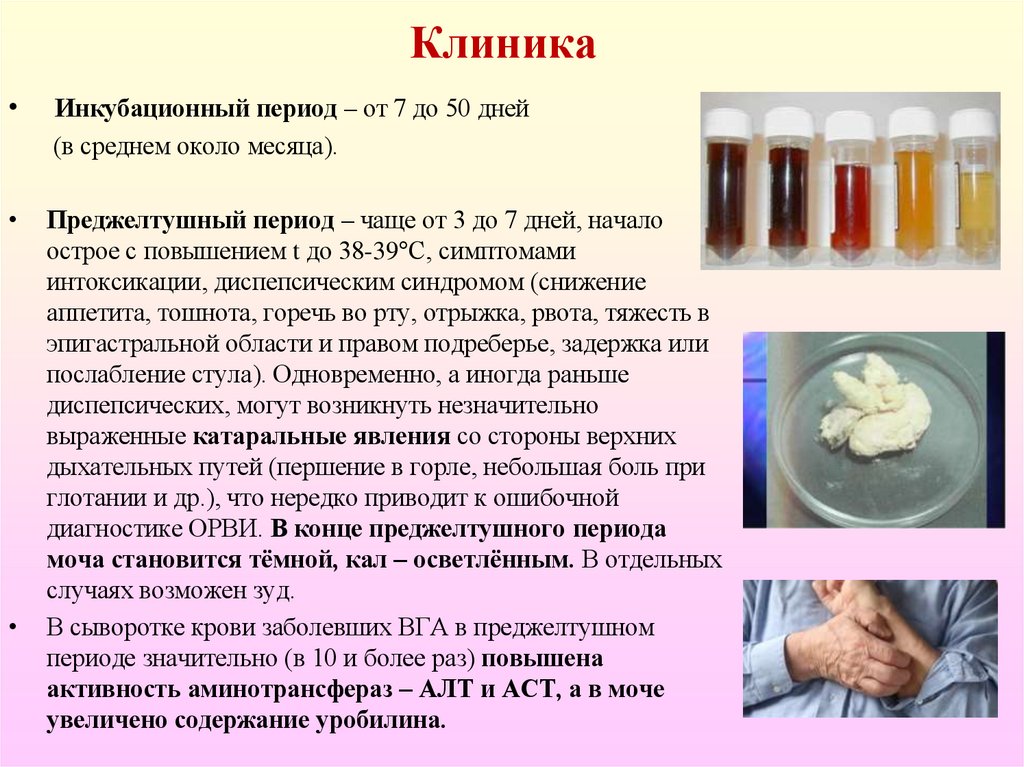 Клиника