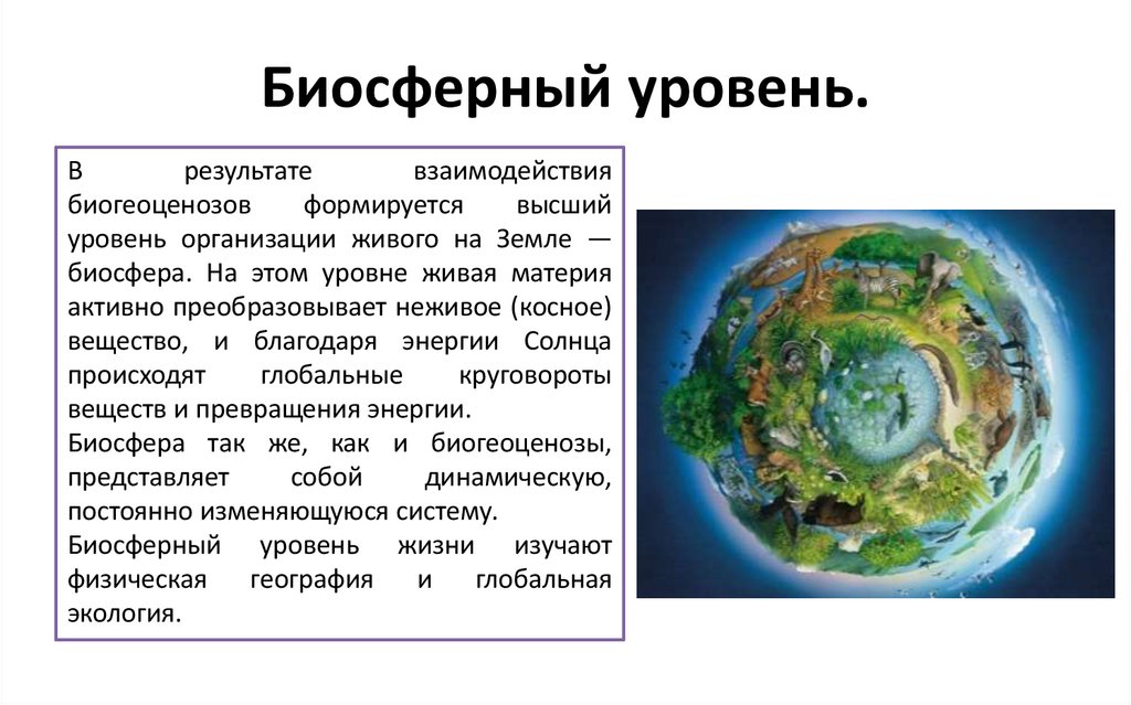 Биосферный уровень.