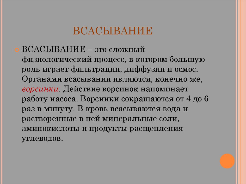 Тонкий кишечник