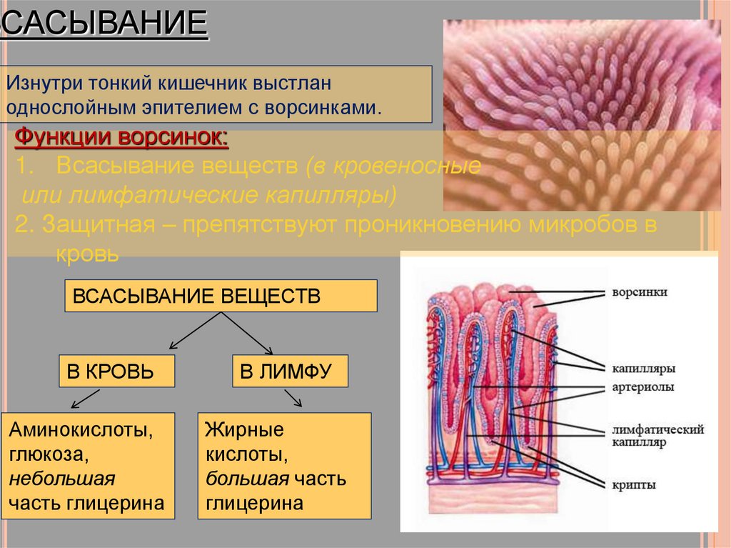 ВСАСЫВАНИЕ