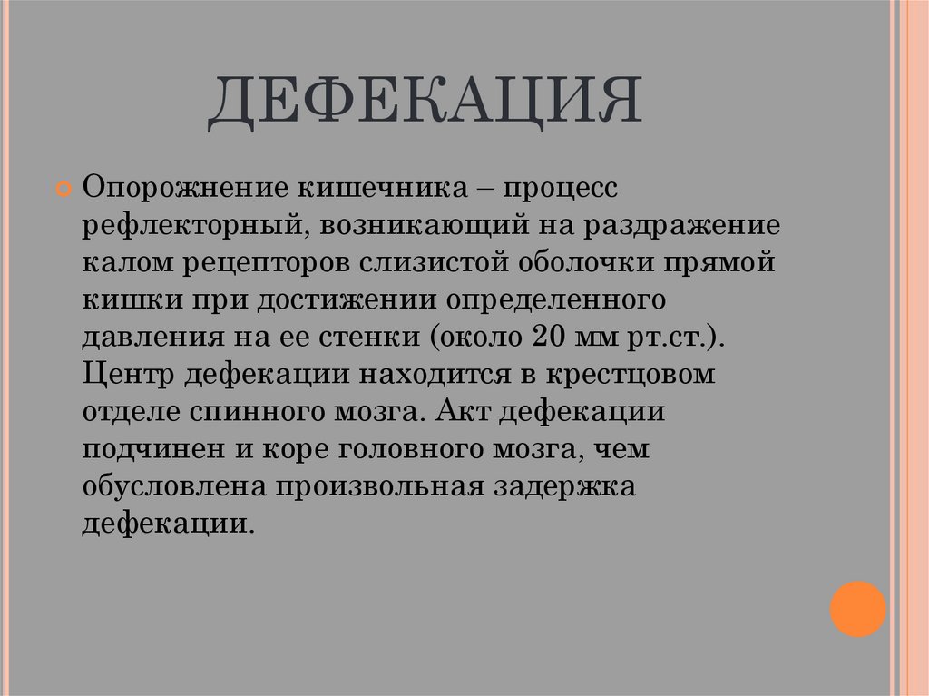 Толстый кишечник