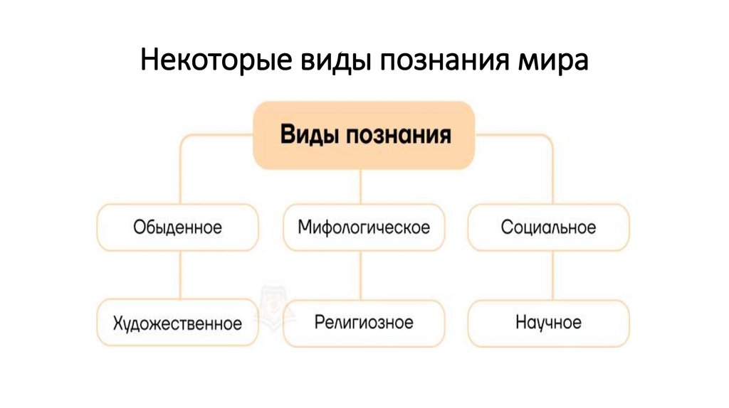 Некоторые виды познания мира