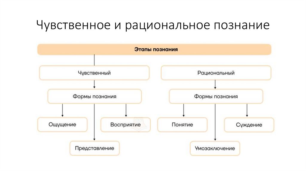 Чувственное и рациональное познание
