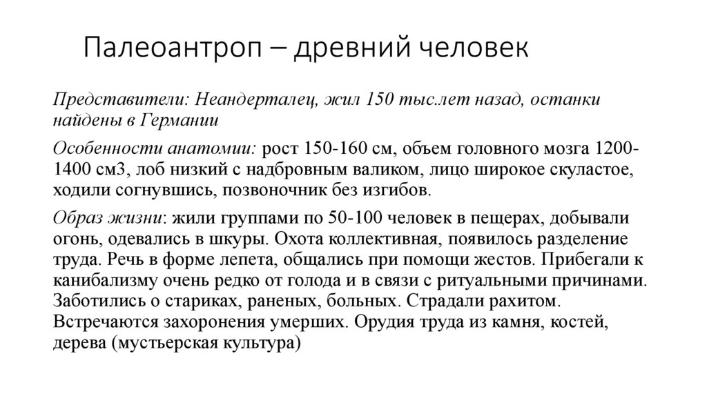 Палеоантроп – древний человек