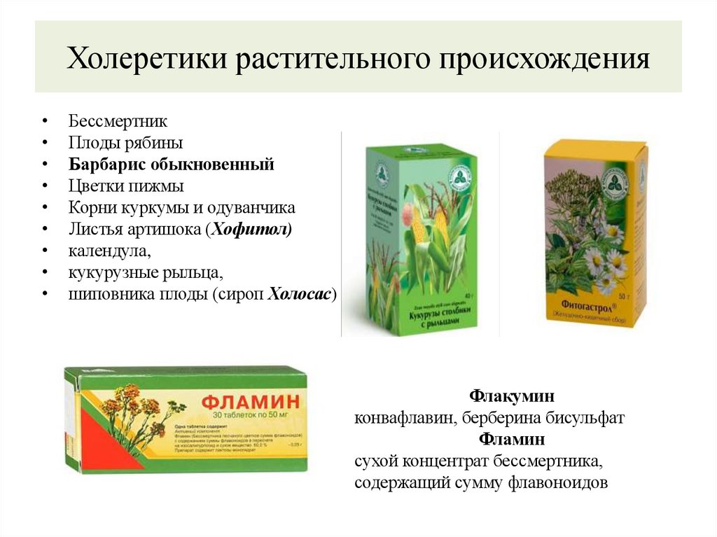 Холеретики растительного происхождения