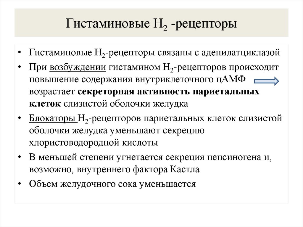 Гистаминовые Н2 -рецепторы