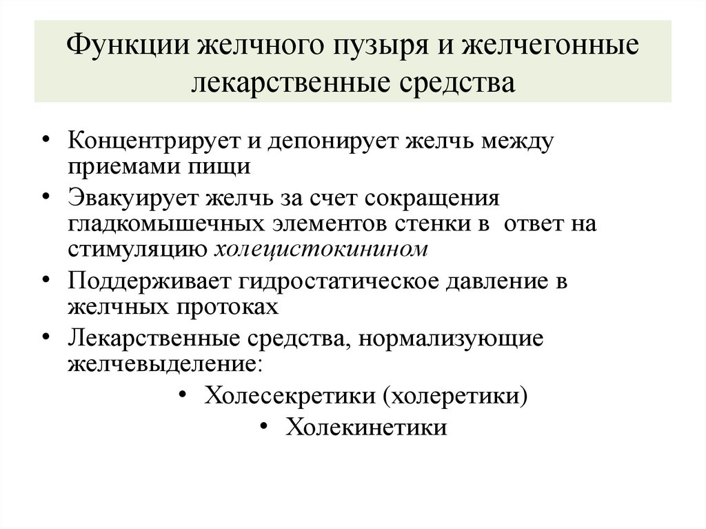 Функции желчного пузыря и желчегонные лекарственные средства