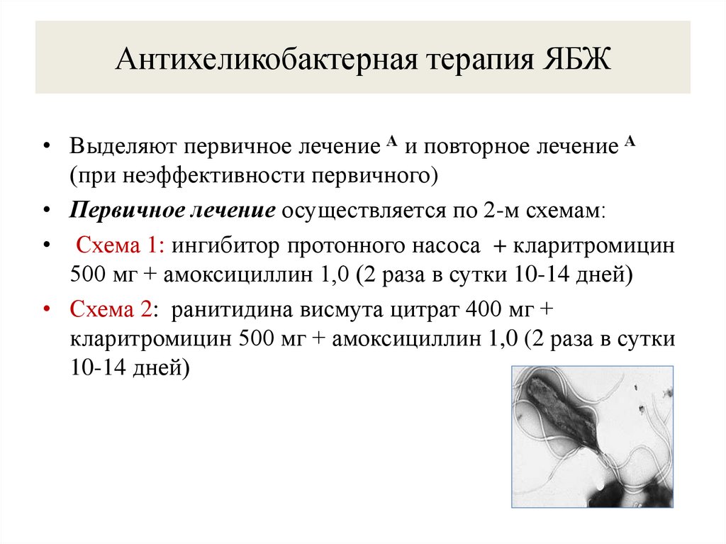 Антихеликобактерная терапия ЯБЖ