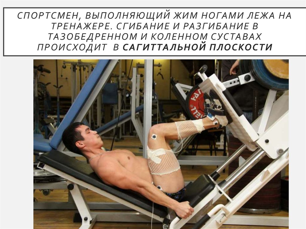 Спортсмен, выполняющий жим ногами лежа на тренажере. Сгибание и разгибание в тазобедренном и коленном суставах происходит  в