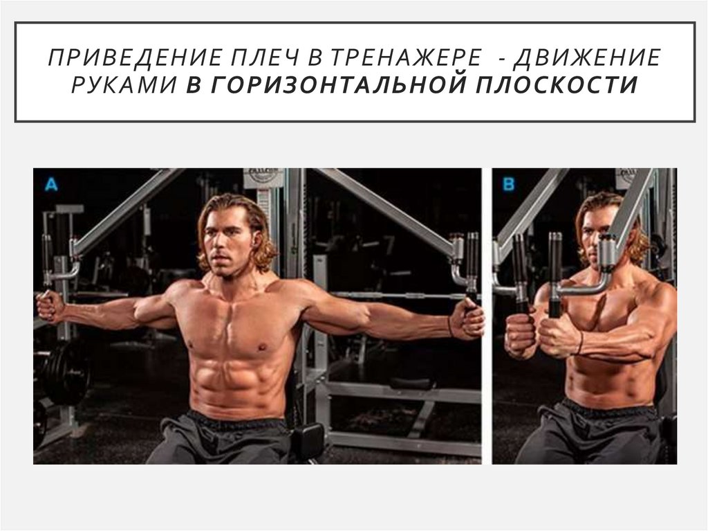 Приведение плеч в тренажере - движение руками в горизонтальной плоскости