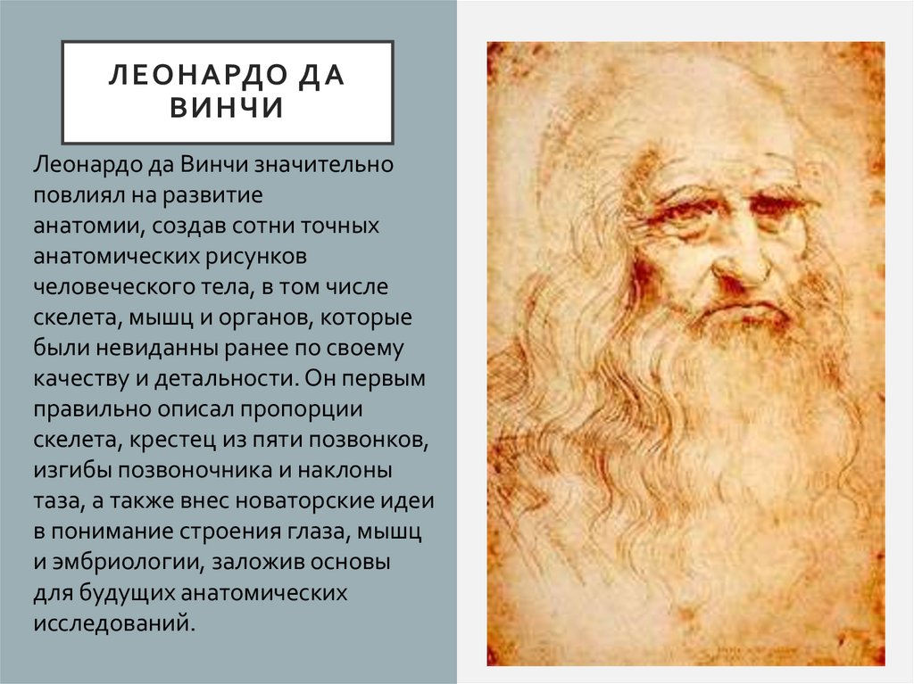 Леонардо да Винчи