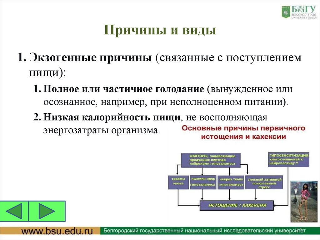Причины и виды