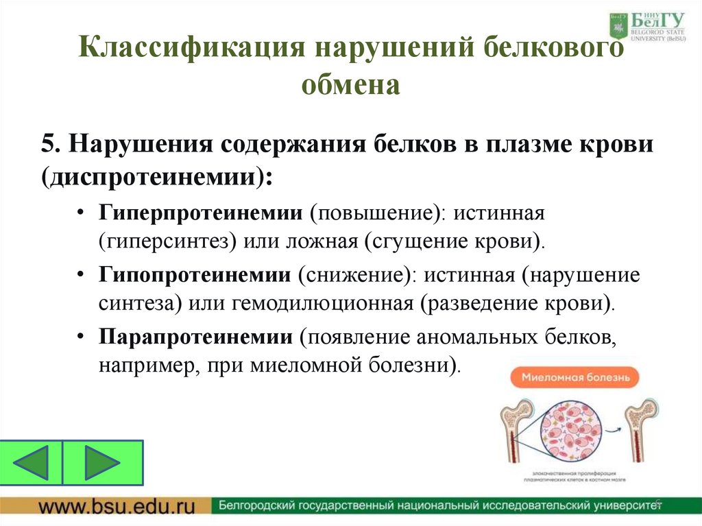 Классификация нарушений белкового обмена