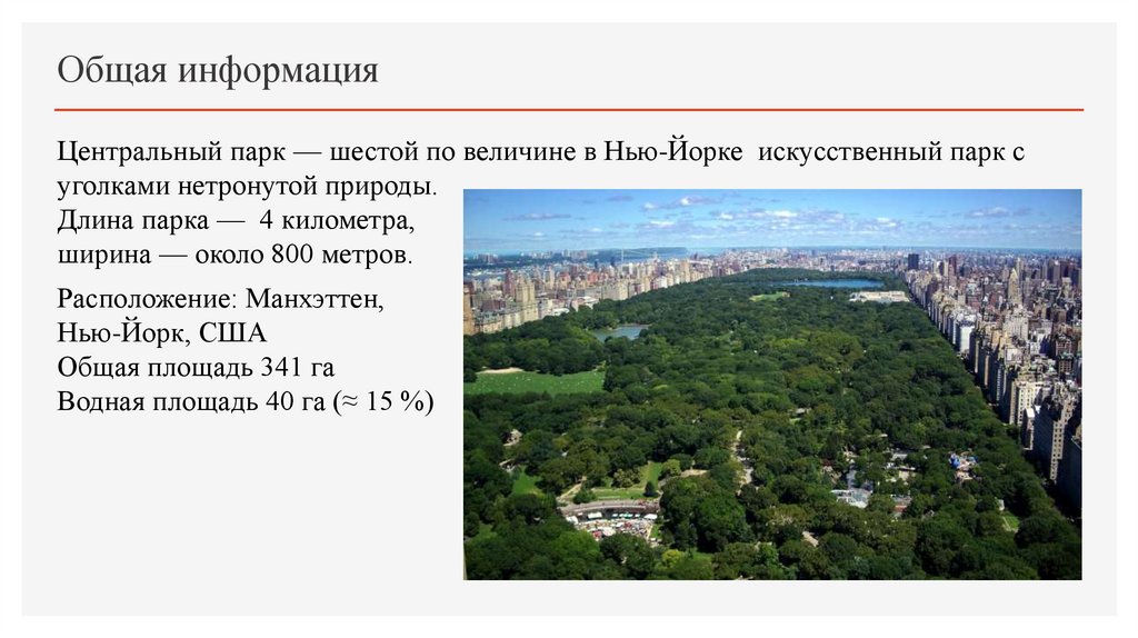 Общая информация