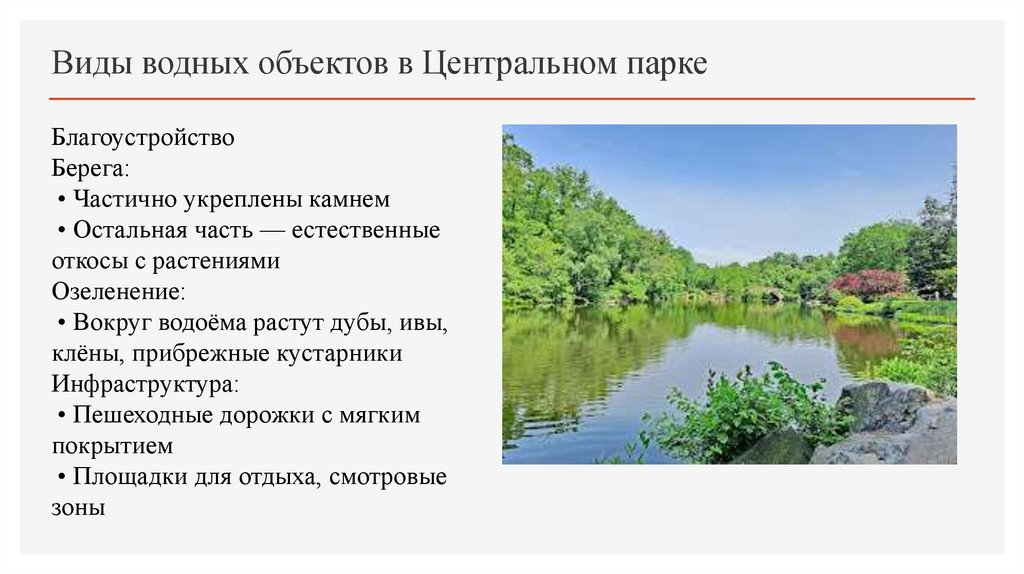 Виды водных объектов в Центральном парке