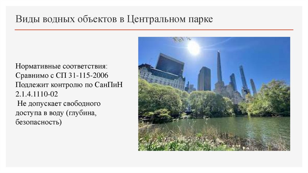 Виды водных объектов в Центральном парке