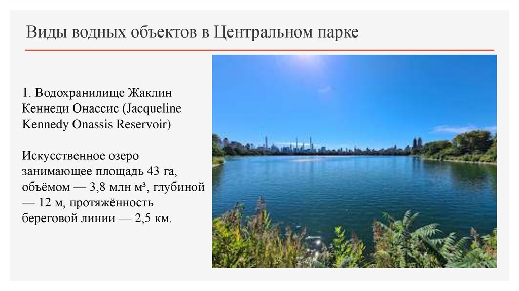 Виды водных объектов в Центральном парке