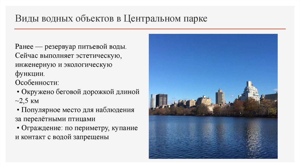 Виды водных объектов в Центральном парке