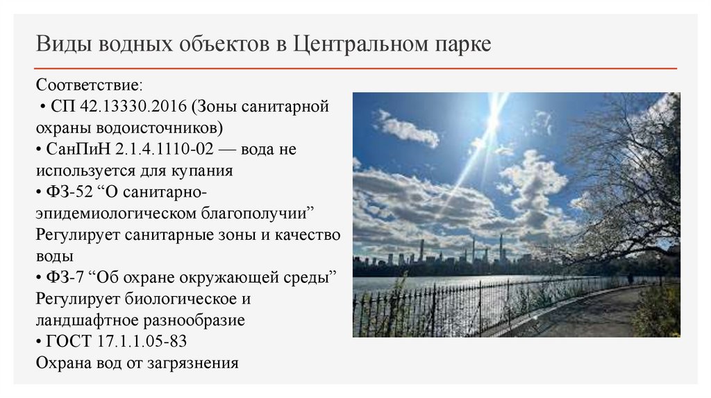 Виды водных объектов в Центральном парке