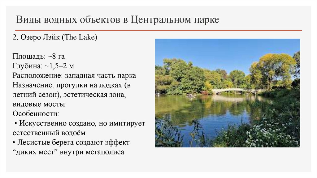 Виды водных объектов в Центральном парке