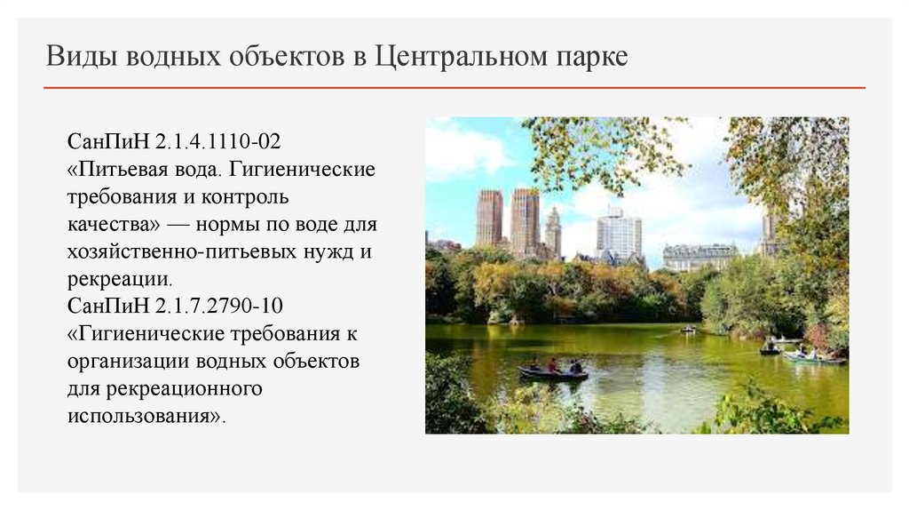 Виды водных объектов в Центральном парке