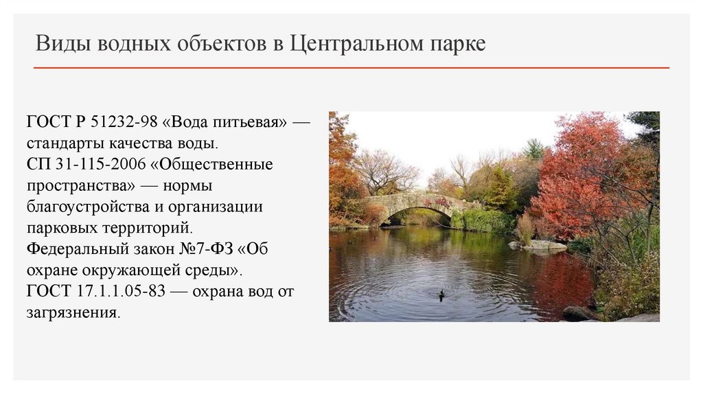 Виды водных объектов в Центральном парке