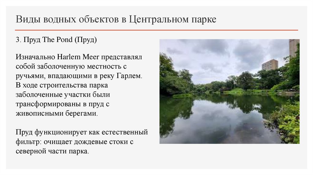 Виды водных объектов в Центральном парке