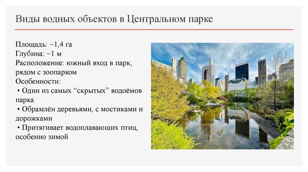 Виды водных объектов в Центральном парке