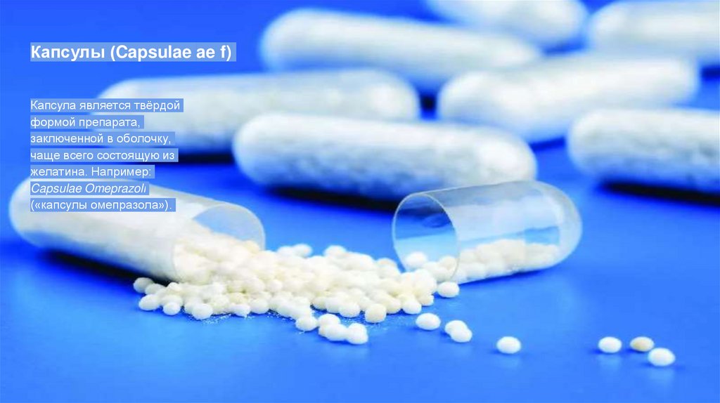 Капсулы (Capsulae ae f)