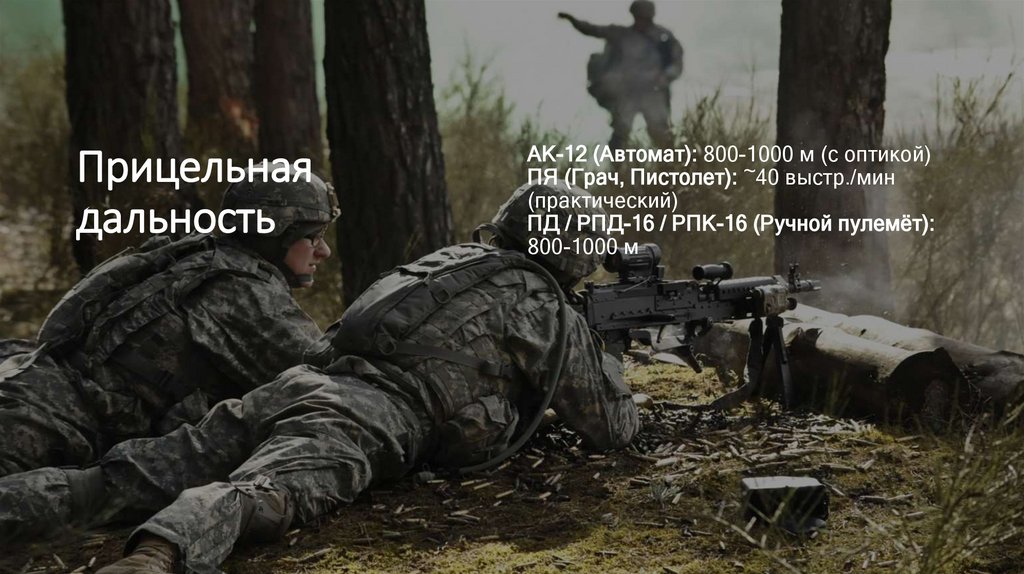 Прицельная дальность