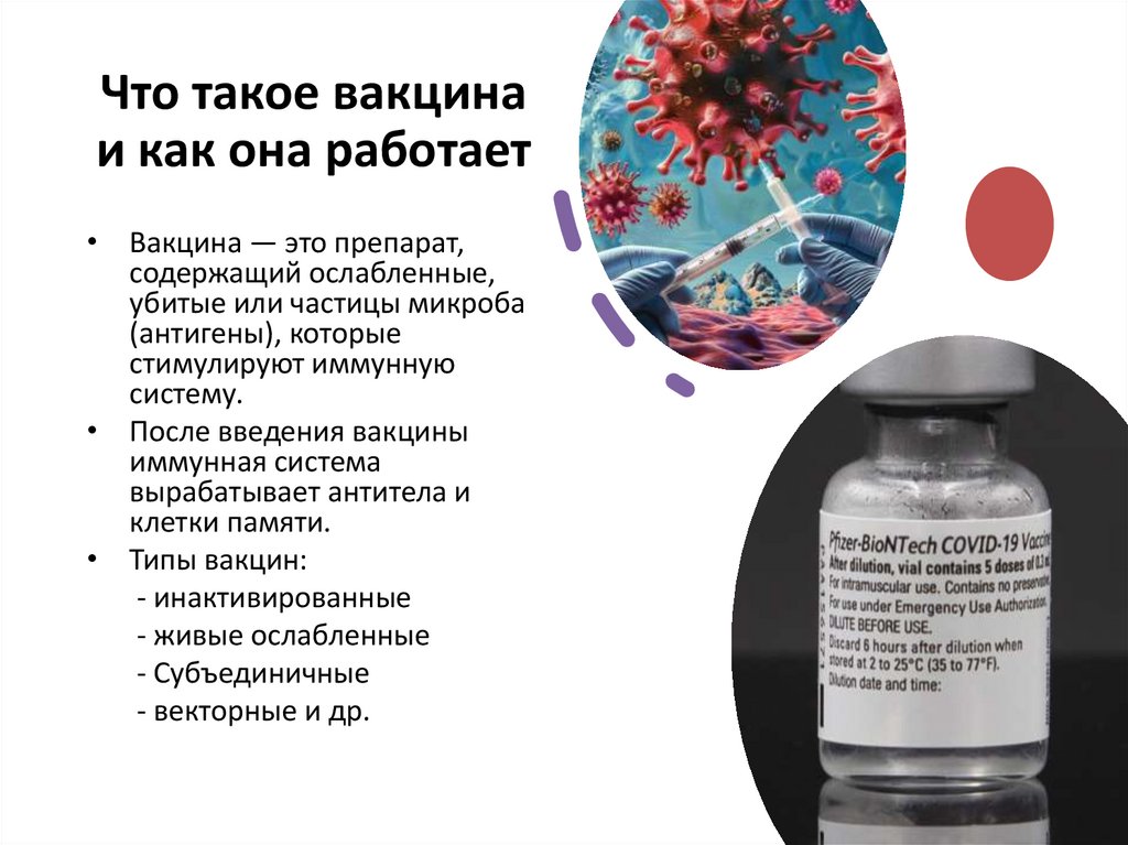 Что такое вакцина и как она работает