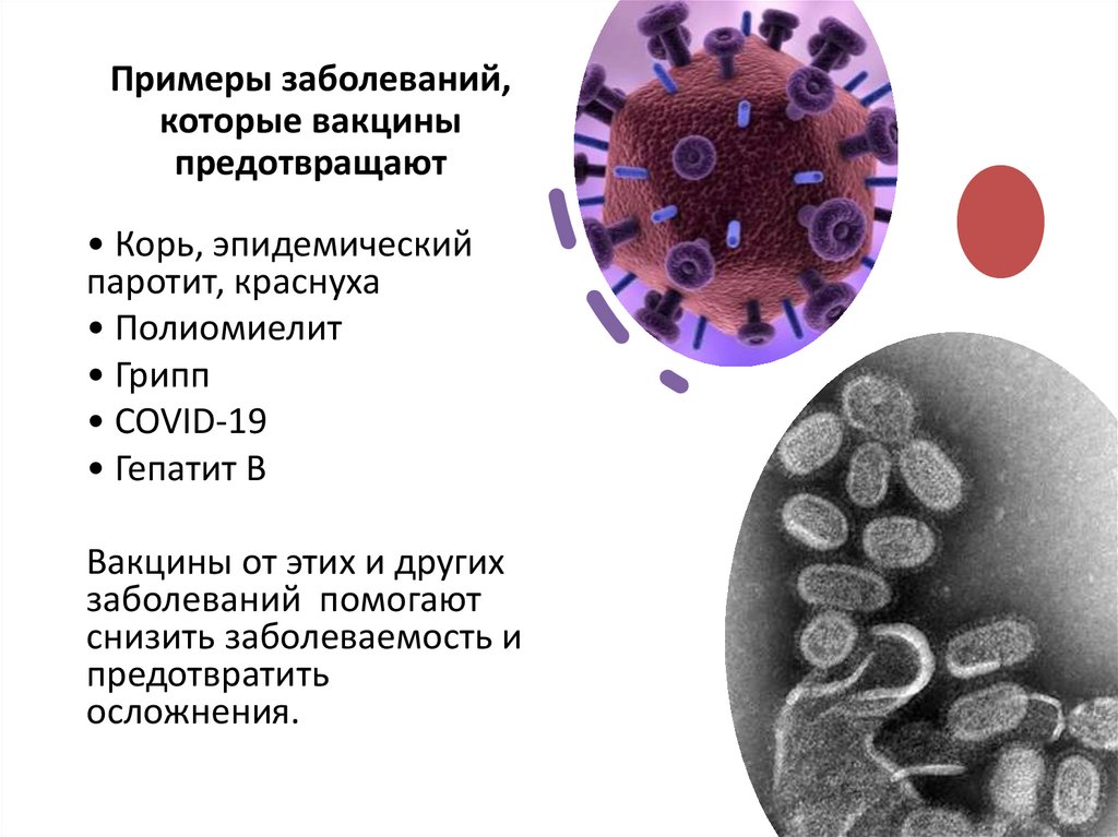 Примеры заболеваний, которые вакцины предотвращают