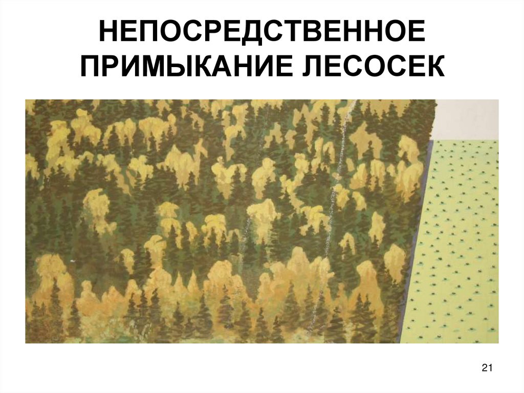 НЕПОСРЕДСТВЕННОЕ ПРИМЫКАНИЕ ЛЕСОСЕК