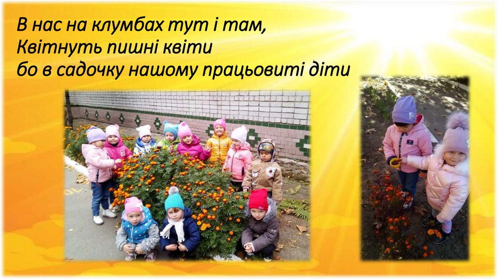 В нас на клумбах тут і там, Квітнуть пишні квіти бо в садочку нашому працьовиті діти