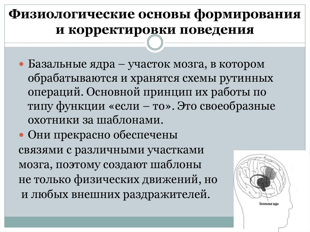 Физиологические основы формирования и корректировки поведения