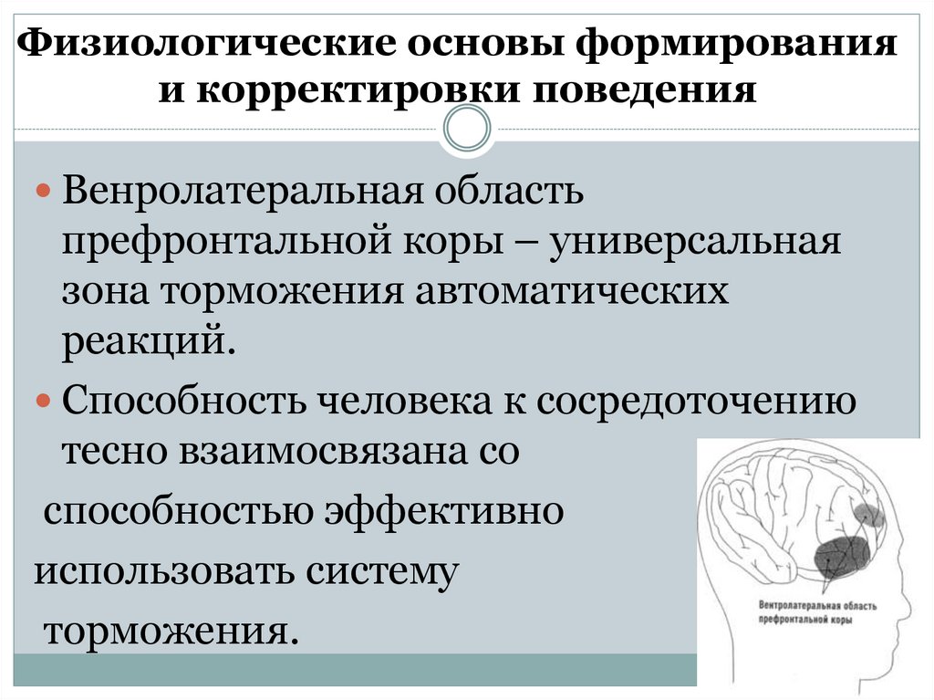 Физиологические основы формирования и корректировки поведения