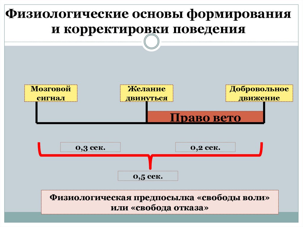 Физиологические основы формирования и корректировки поведения