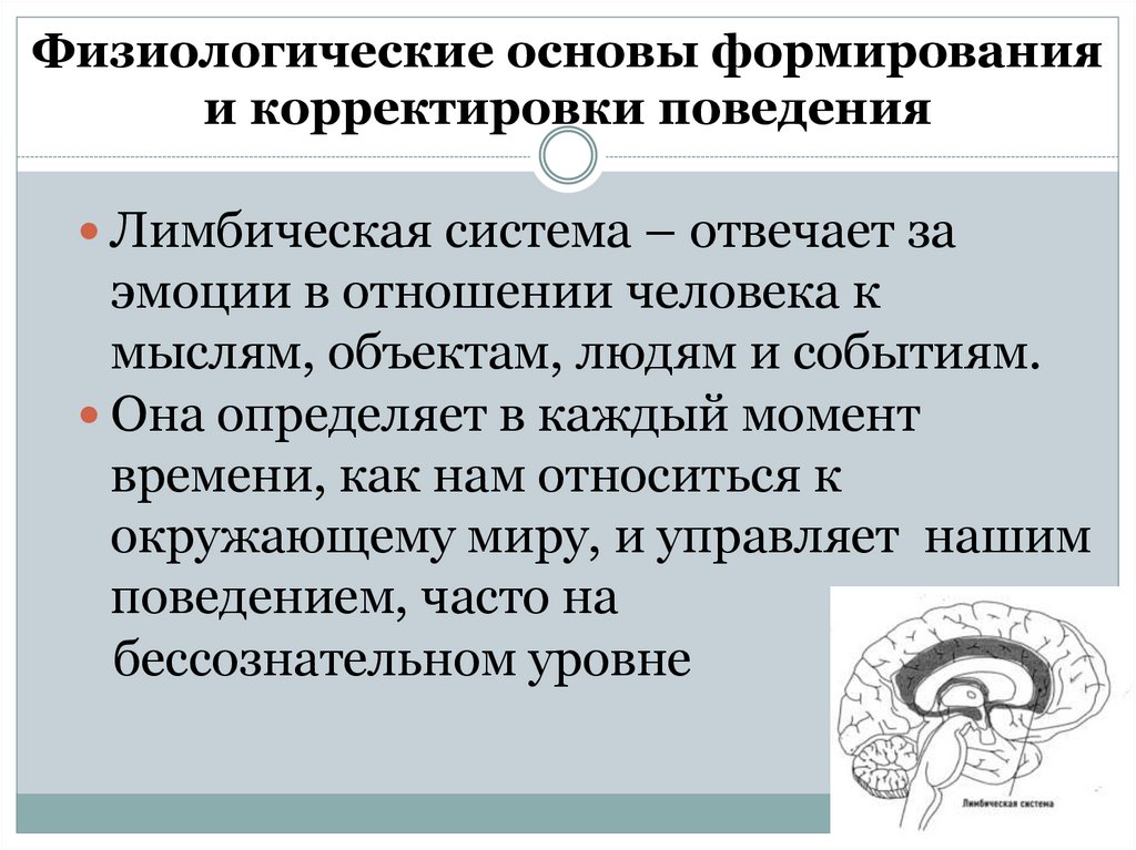 Физиологические основы формирования и корректировки поведения