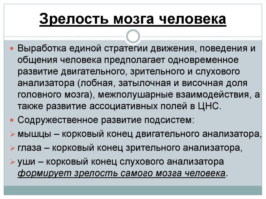 Зрелость мозга человека